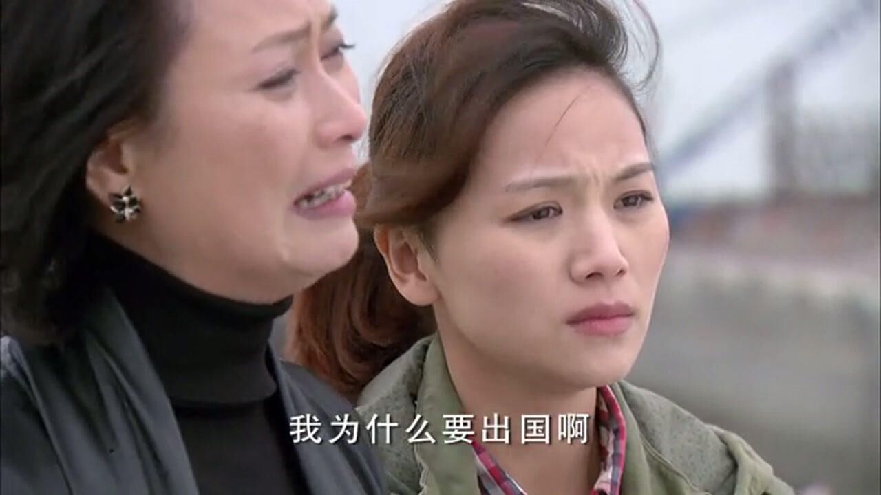野鸭子大结局母女俩人找到所长身世之谜终于揭晓母亲落泪