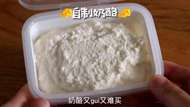 只需要两种材料,就能自制奶酪,超简单