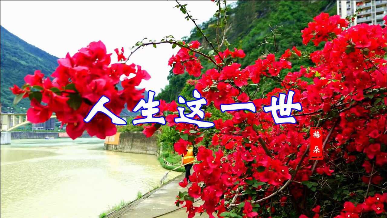 梅朵一首《人生这一世》多少苦和累,句句入心,岁月匆匆,且行且珍惜!