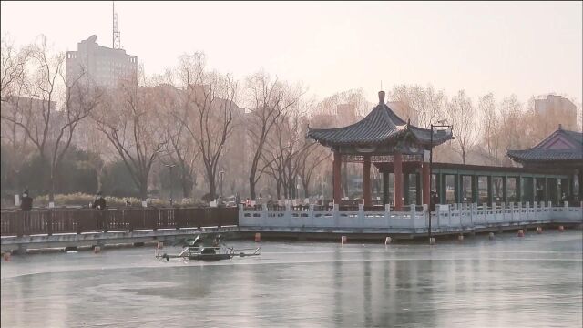 先有莲花池,后有北京城,冬日的莲花池与嬉冰的水鸟