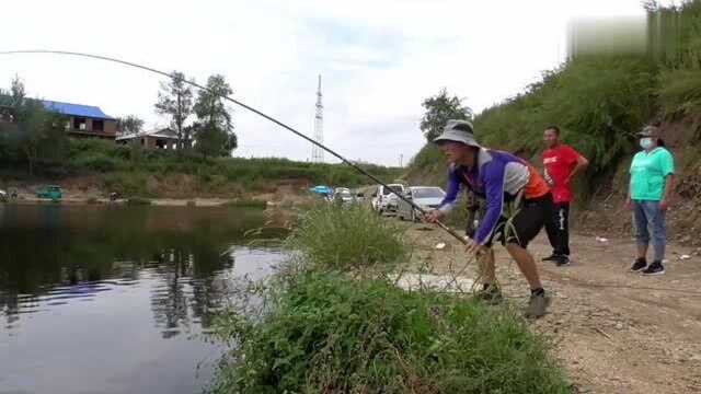 农村水塘青根咬钩,直接黑漂不说还拉竿子,真叫一个过瘾