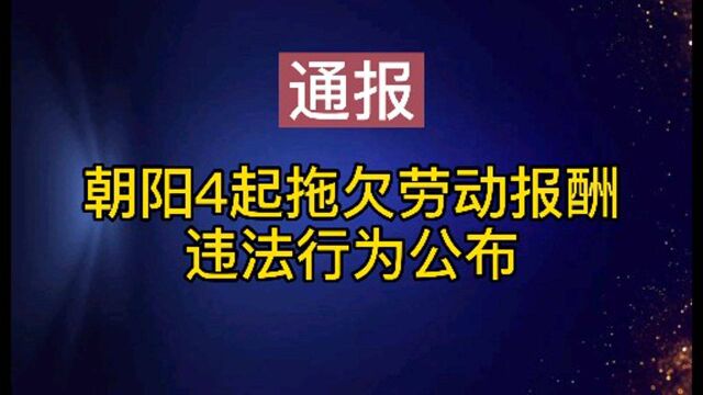 朝阳4起拖欠劳动报酬违法行为公布