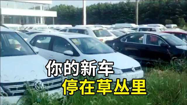 为什么4S店的新车都露天暴晒?这不伤车吗,销售员说出原因