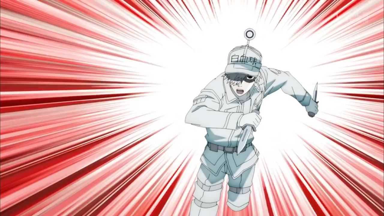 工作细胞第二季:今天又是白细胞勤劳地消灭细菌的一天!