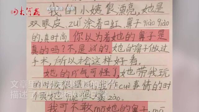 河南一小朋友写作文称小姨鼻子假,结尾爆笑:摸掉了讹我们家钱