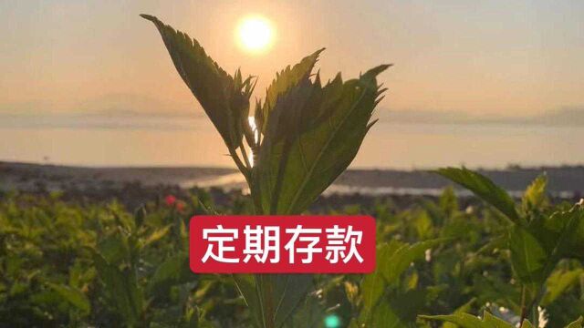 银行存定期是直接存3年,还是存1年再续存好?可别再选错了!