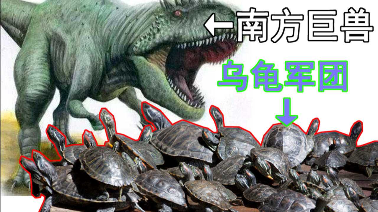 方舟生存进化:乌龟大军vs南方巨兽龙谁会赢?