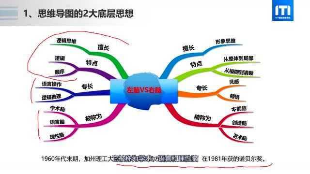 11思维导图(中)