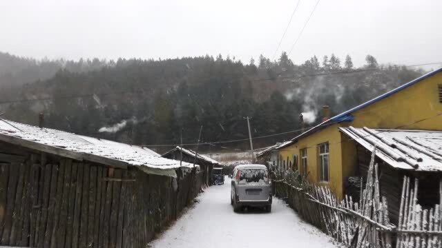 东北牡丹江市终于下大雪了,期盼已久的雪景,简直太美了