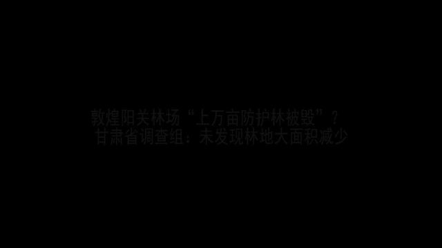 甘肃省阳关林场问题调查组发布初步调查结果 未出现明显林退沙进现象