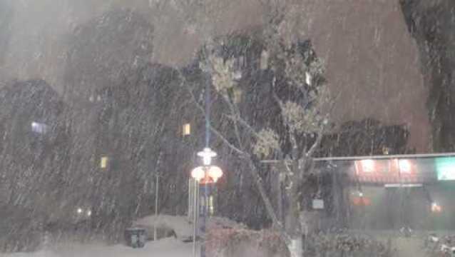 辽宁沈阳:今晚下大雪了!漫天雪花真梦幻!