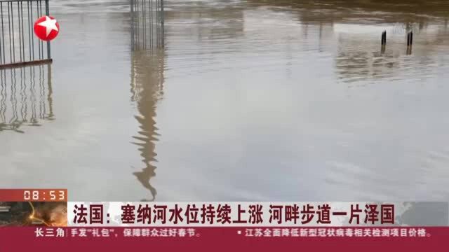 法国:塞纳河水位持续上涨 河畔步道一片泽国