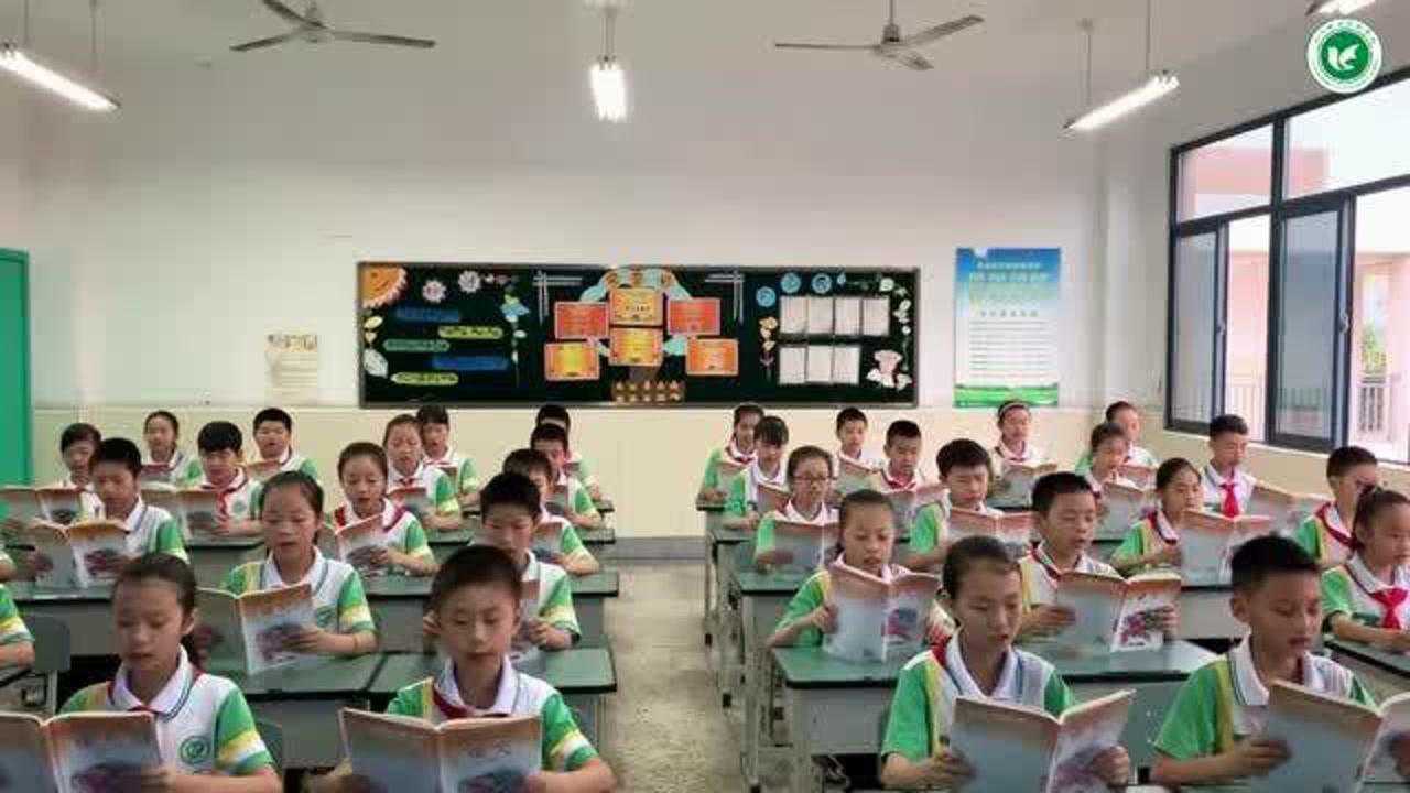 校园文明礼仪规范完美示范_高清