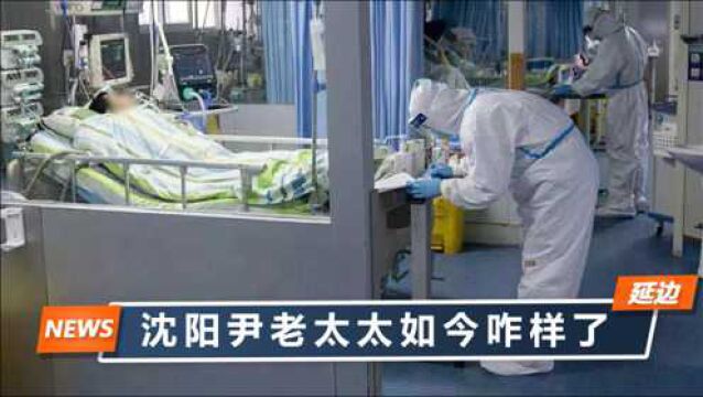 沈阳尹老太已去世火化?官方人员回应了,家属称“没什么好说的”