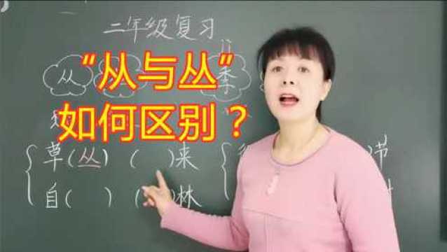 01如何记住“从与丛”的区别?老师用一幅图讲解,小朋友快速掌握