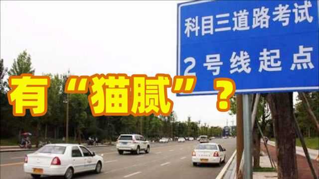 科三很难过,为啥教练却只让练2天就去考?过来人:里面套路太深