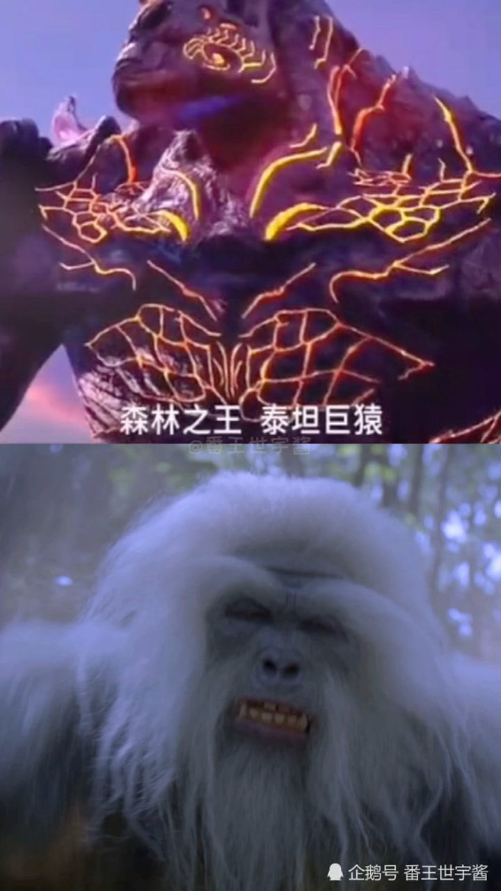 动漫版泰坦巨猿vs真人版泰坦巨猴巨猿和一米五的猴子