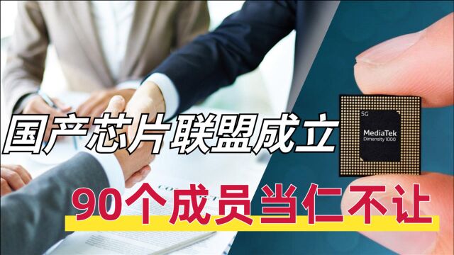 国内半导体联盟建立,90家企业参与其中,国产芯片指日可待