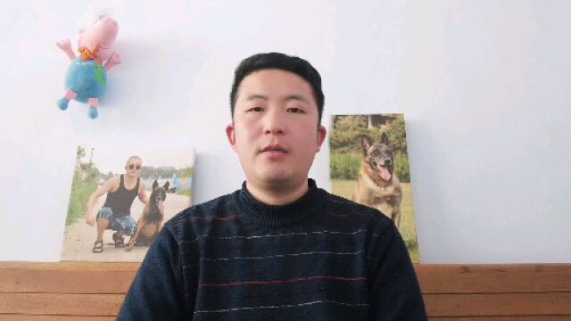 023关于犬的血统证书重要性的一个解读