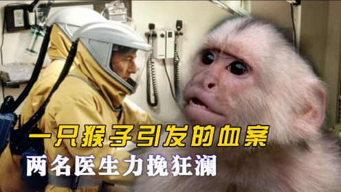 一只猴子毁灭全人类，你相信吗？最恐怖的传染病正在来临！