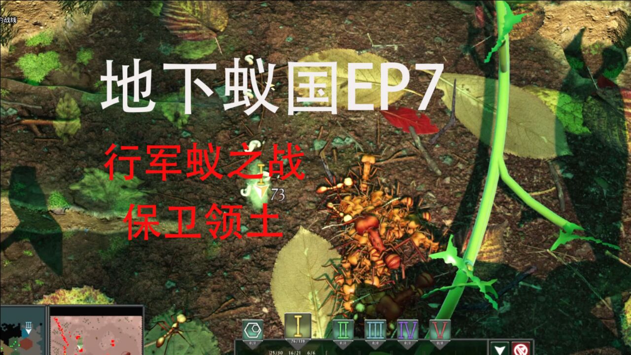 地下蚁国7 行军蚁之战,保卫领土_腾讯视频