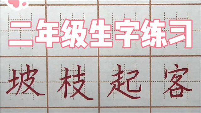 二年级练字:枝起坡客,又字写法怎么改呢?硬笔书法写字楷书字帖