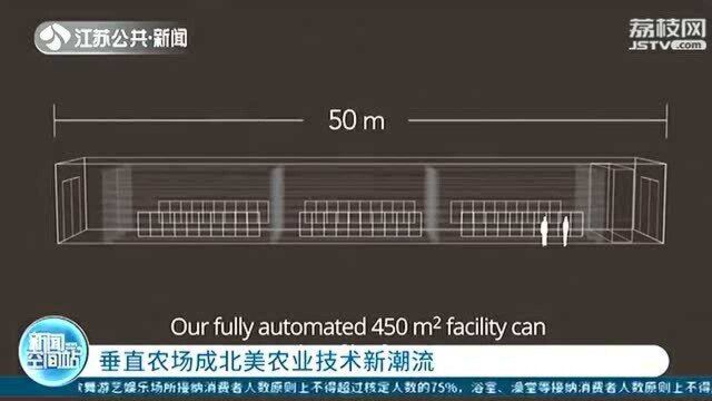 “垂直农场”成北美农业技术新潮流 无需农药成本低