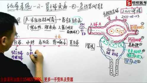 2021昭昭医考泌尿系统最新视频课程-肾小球疾病-1#内娱有救了吗？#