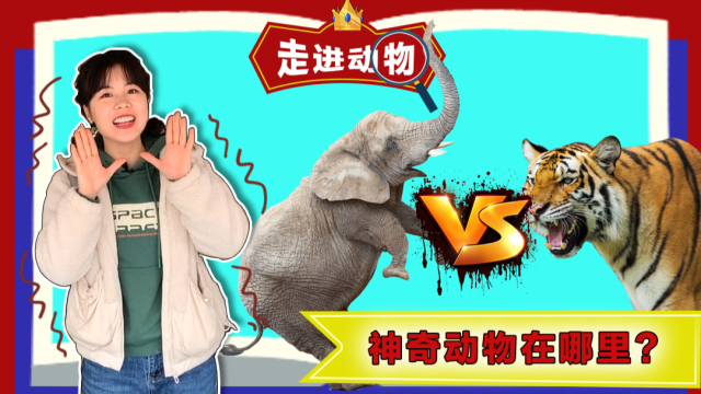 苏菲亚来了：探奇妙知识 2集