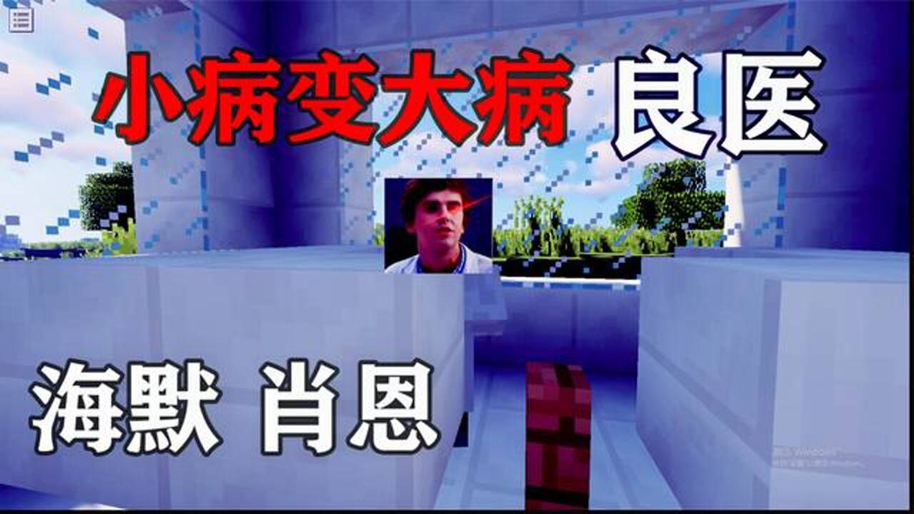 【我的世界】当海默帮你看病,小病变大病