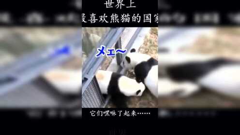 俩熊猫嘿咻了52秒，直接影响了日本一家公司的股价！