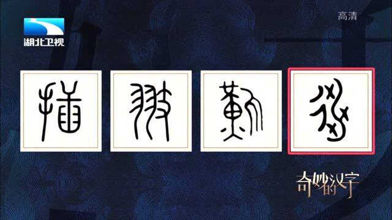 奇妙的汉字：有认识甲骨文的吗，帮我猜猜这个字_高清1080P在线观看平台_腾讯视频