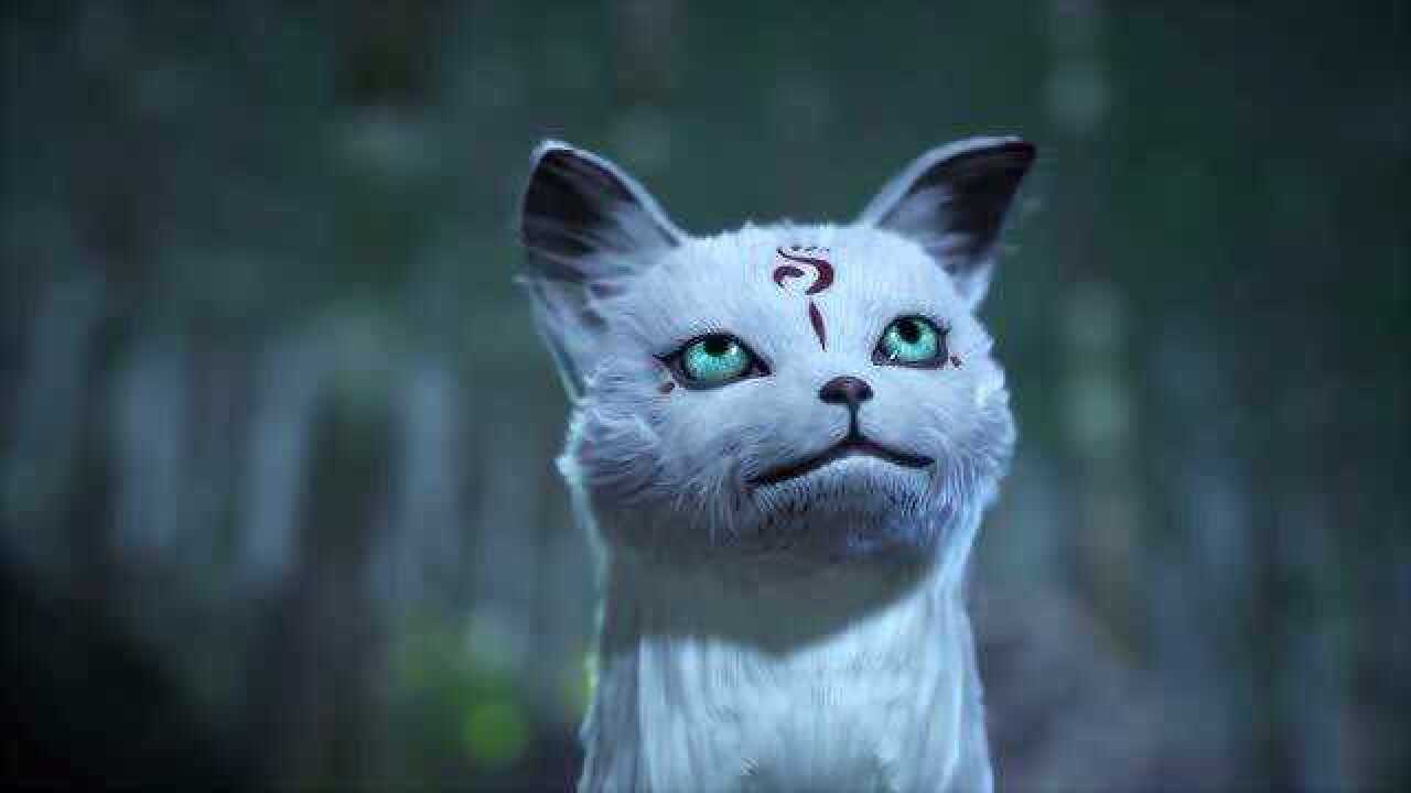 天荒战神识相点就放弃挣扎