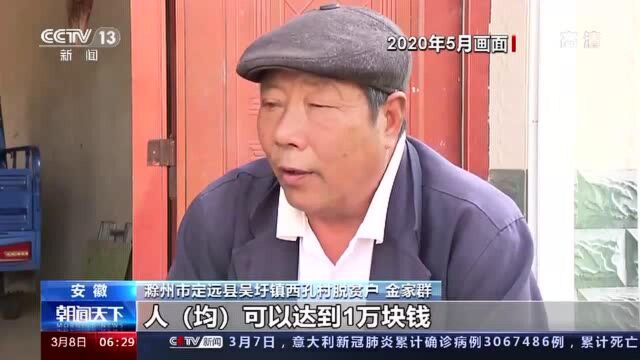 王萌萌代表:年轻人是乡村振兴的生力军