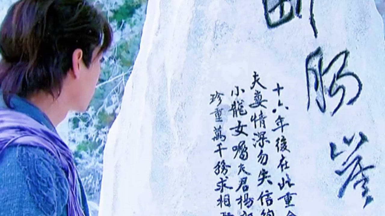 神雕侠侣 断肠崖十六年之约 南海神尼传说 杨过与程陆姐妹义结金兰