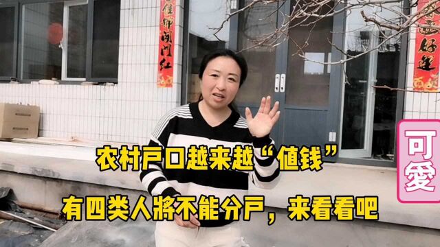 农村户口越来越“值钱”有四类人不能分户,农民心里要有个数