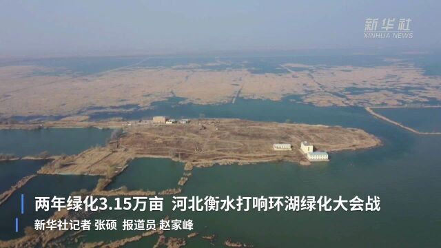 两年绿化3.15万亩 河北衡水打响环湖绿化大会战