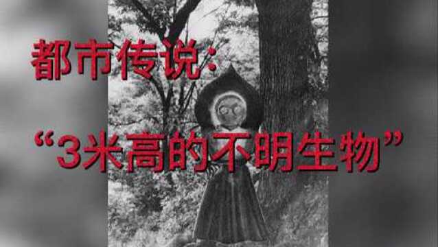 都市传说:美国某小镇发现“UFO”下来离奇“怪物”