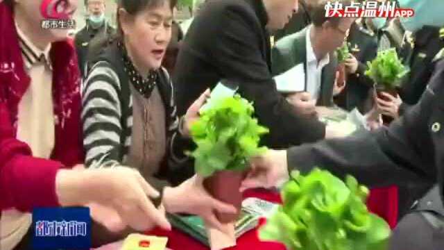 【温视频】共建美好家园 鹿城开展“3 ⷠ12”植树节宣传活动