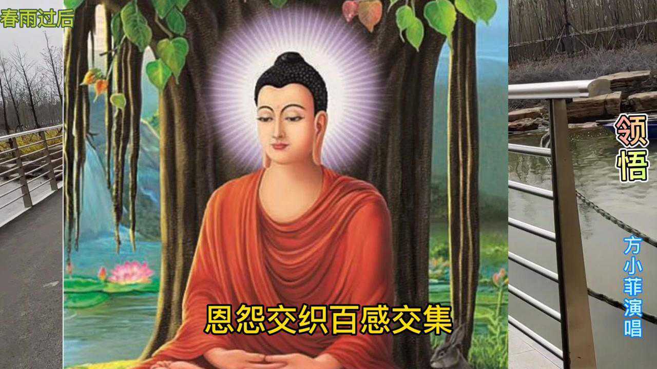 《领悟》方小菲演唱_腾讯视频