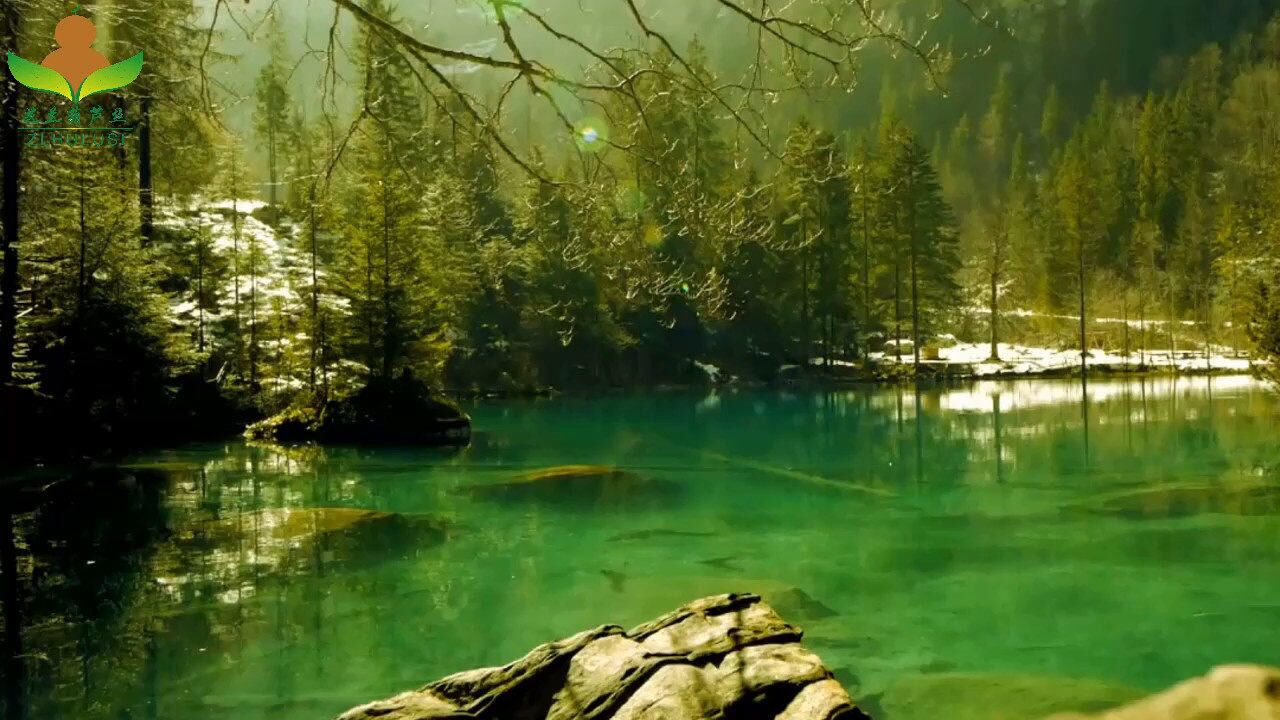央金卓玛《清清玉湖水》