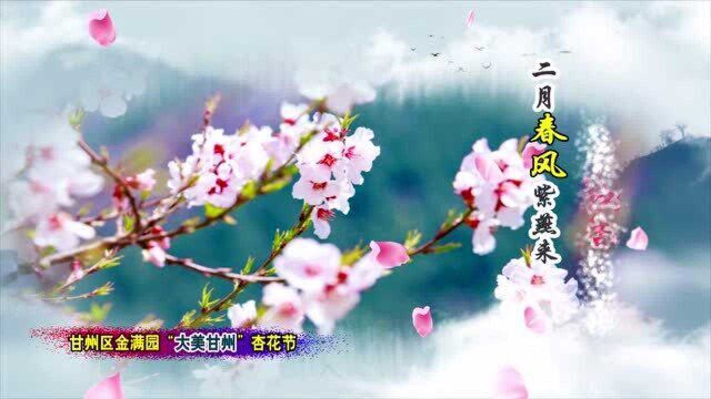 杏花节宣传片三