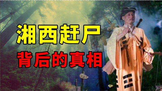 “湘西赶尸”的真相,揭秘神秘“赶尸人”背后的故事