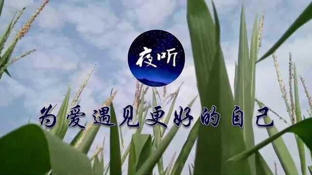 【夜听】岁月如歌,携手白头