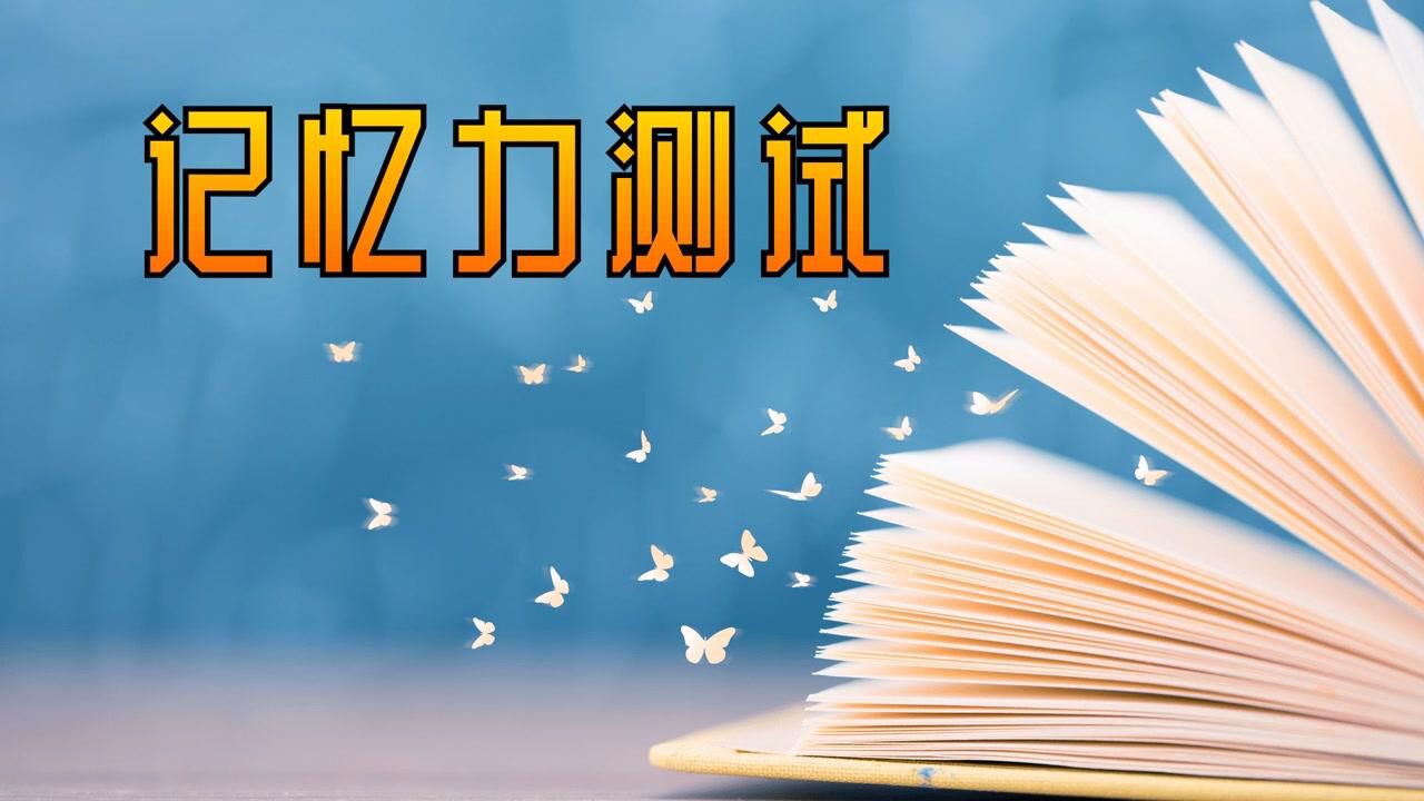 最强大脑记忆力