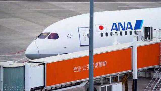 日本ANA全日空航空,开通东京直飞深圳新航线!