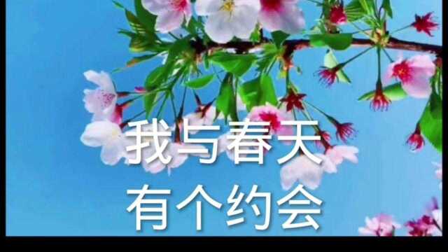 我与春天有个约会