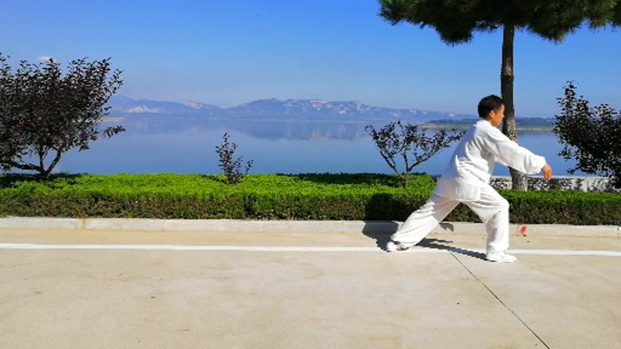 麒麟太极拳十八式