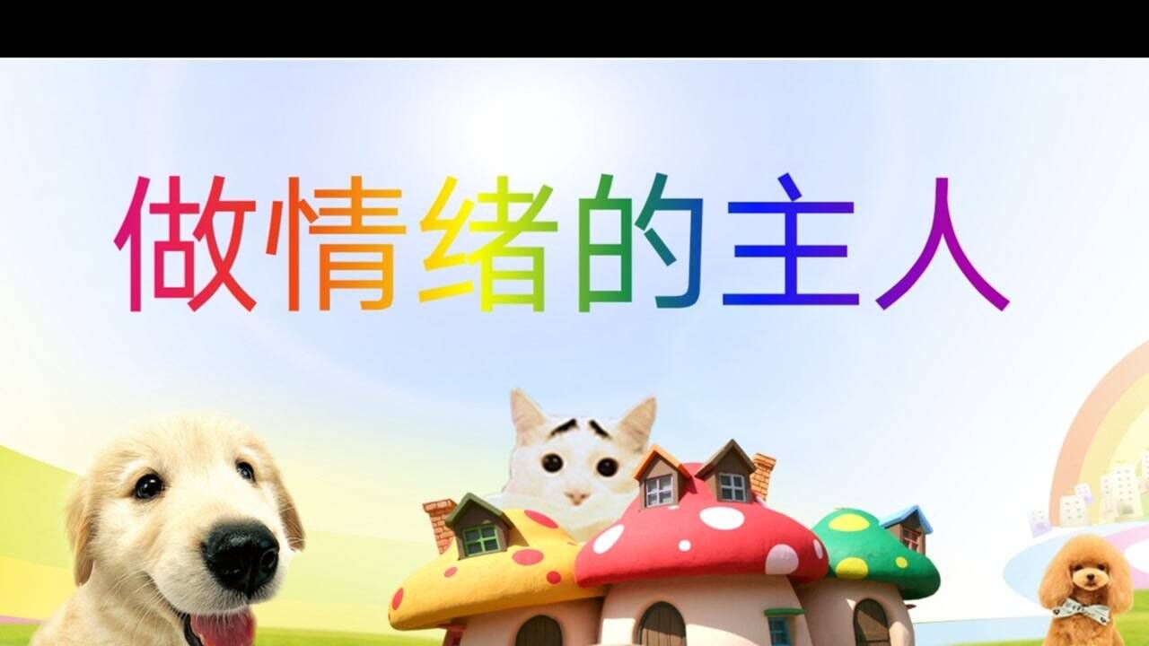 高清1080P在线观看平台_腾讯视频