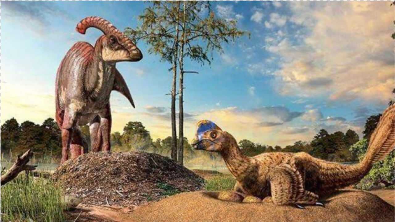 "偷恐龙蛋"的窃蛋龙,其实被我们误会了?